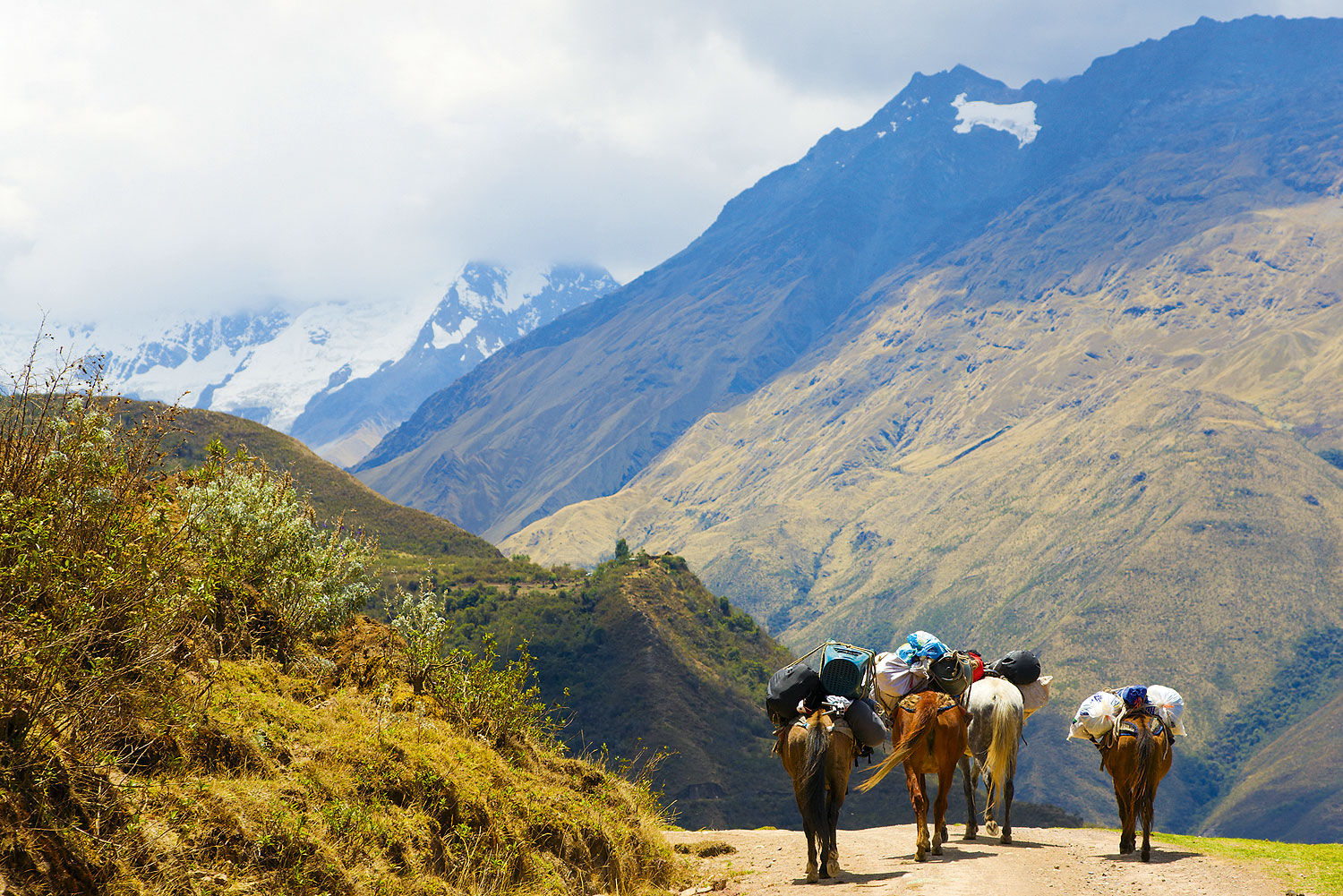 Salkantay Trek