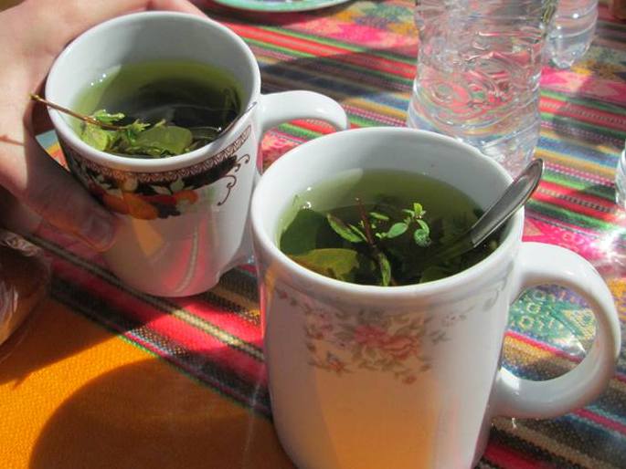 The Peruvian Coca Leaf Journey Machu Picchu