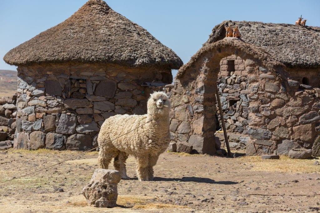 One Day Machu Picchu Tour