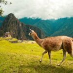 Private Peru tours for luxury travelers