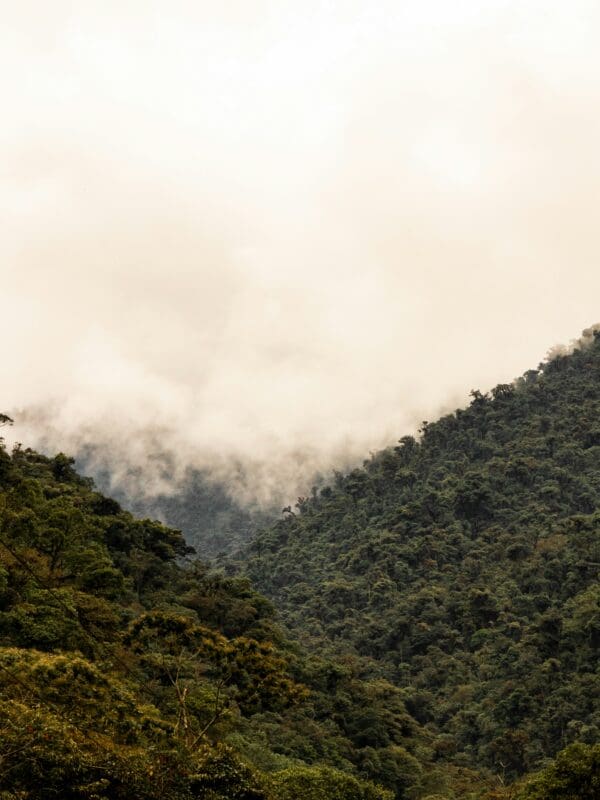 Manu National Park